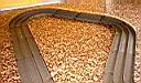 003-Rett-DX-Rett-Dx-rett.JPG