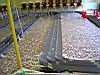 005-Rett-CambioCorsiaParabolico-Sx.JPG