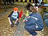 020-InAttesaDellostart-Luca-Stefano-Gabriele.JPG