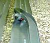 025--EXPERT&TOP-al-Ponte-08.jpg
