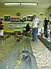 025-017-EXPERT&TOP-Al-Ponte-.JPG