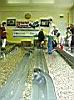 025-019-EXPERT&TOP-Al-Ponte-.JPG
