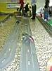 025-027-EXPERT&TOP-Al-Ponte-Dany.JPG