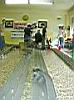 025-065-EXPERT&TOP-Al-Ponte-.JPG