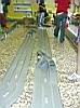 025-068-EXPERT&TOP-Al-Ponte-.JPG