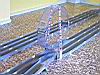 008-Ed-eccolo!!!-IL-LOOP.JPG