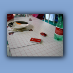 002-PrimaDelleGareUnoSguardoAlloStandTamiya-03.jpg