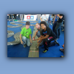 020-PartenzefaseEliminatoriaJ-ClassEXPERT-012.jpg
