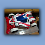 042-DalJapan-dash1n-001.jpg