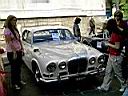 Jaguar429-1.JPG