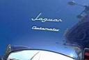 JaguarAutomatic-3.jpg